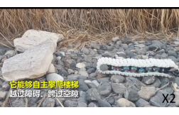 &#21338;&#40060;&#23448;&#26041;&#32593;&#39029;&#29256;&#45;&#21338;&#40060;&#40;&#20013;&#22269;&#41;