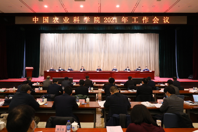 &#21338;&#40060;&#23448;&#26041;&#32593;&#39029;&#29256;&#45;&#21338;&#40060;&#40;&#20013;&#22269;&#41;