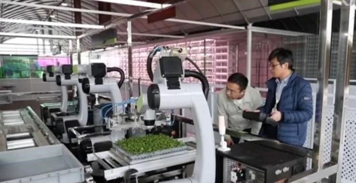 &#21338;&#40060;&#23448;&#26041;&#32593;&#39029;&#29256;&#45;&#21338;&#40060;&#40;&#20013;&#22269;&#41;