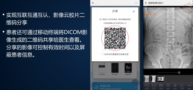 &#21338;&#40060;&#23448;&#26041;&#32593;&#39029;&#29256;&#45;&#21338;&#40060;&#40;&#20013;&#22269;&#41;