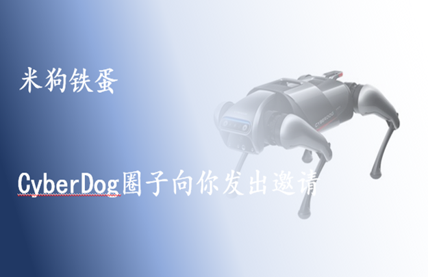 &#21338;&#40060;&#23448;&#26041;&#32593;&#39029;&#29256;&#45;&#21338;&#40060;&#40;&#20013;&#22269;&#41;