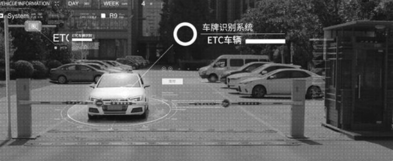 &#21338;&#40060;&#23448;&#26041;&#32593;&#39029;&#29256;&#45;&#21338;&#40060;&#40;&#20013;&#22269;&#41;
