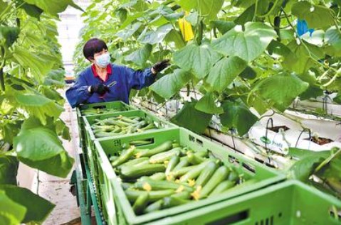 &#21338;&#40060;&#23448;&#26041;&#32593;&#39029;&#29256;&#45;&#21338;&#40060;&#40;&#20013;&#22269;&#41;